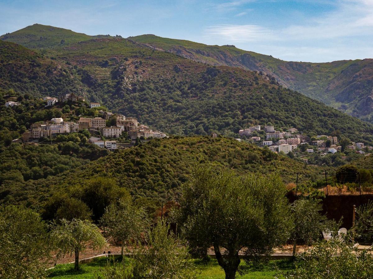 Apiculteur * Oletta (Corsica)