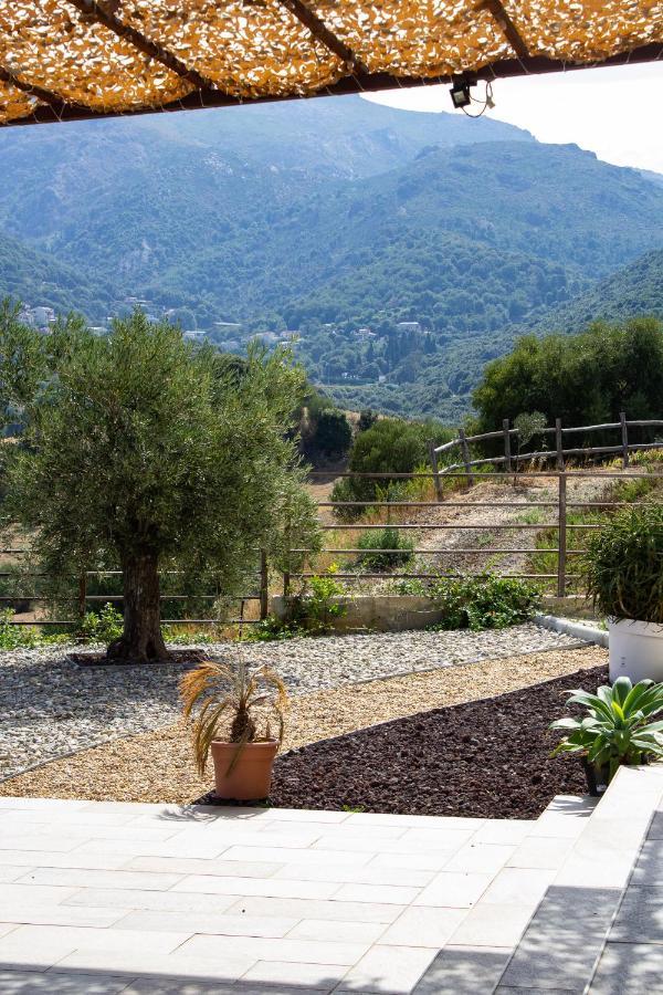 Apiculteur * Oletta (Corsica)
