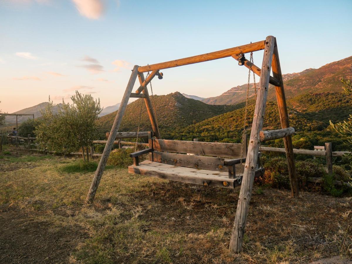 Apiculteur Oletta (Corsica)