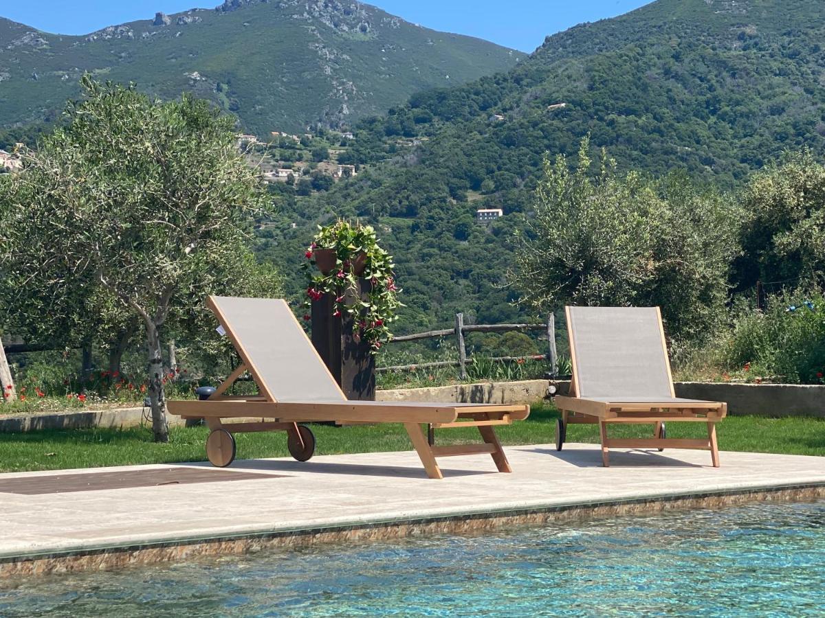 Apiculteur Apartment Oletta (Corsica)