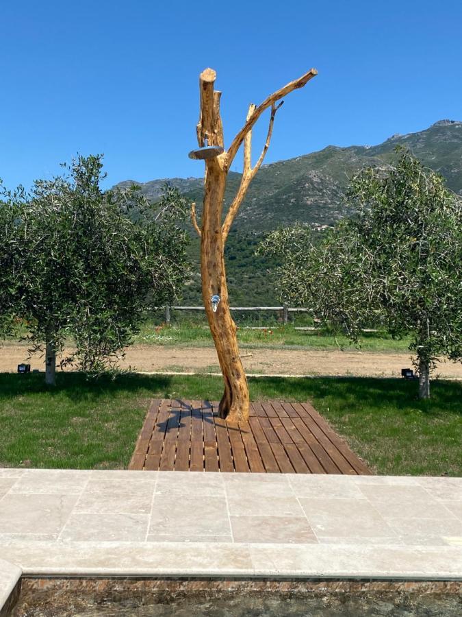 Apiculteur Oletta (Corsica)